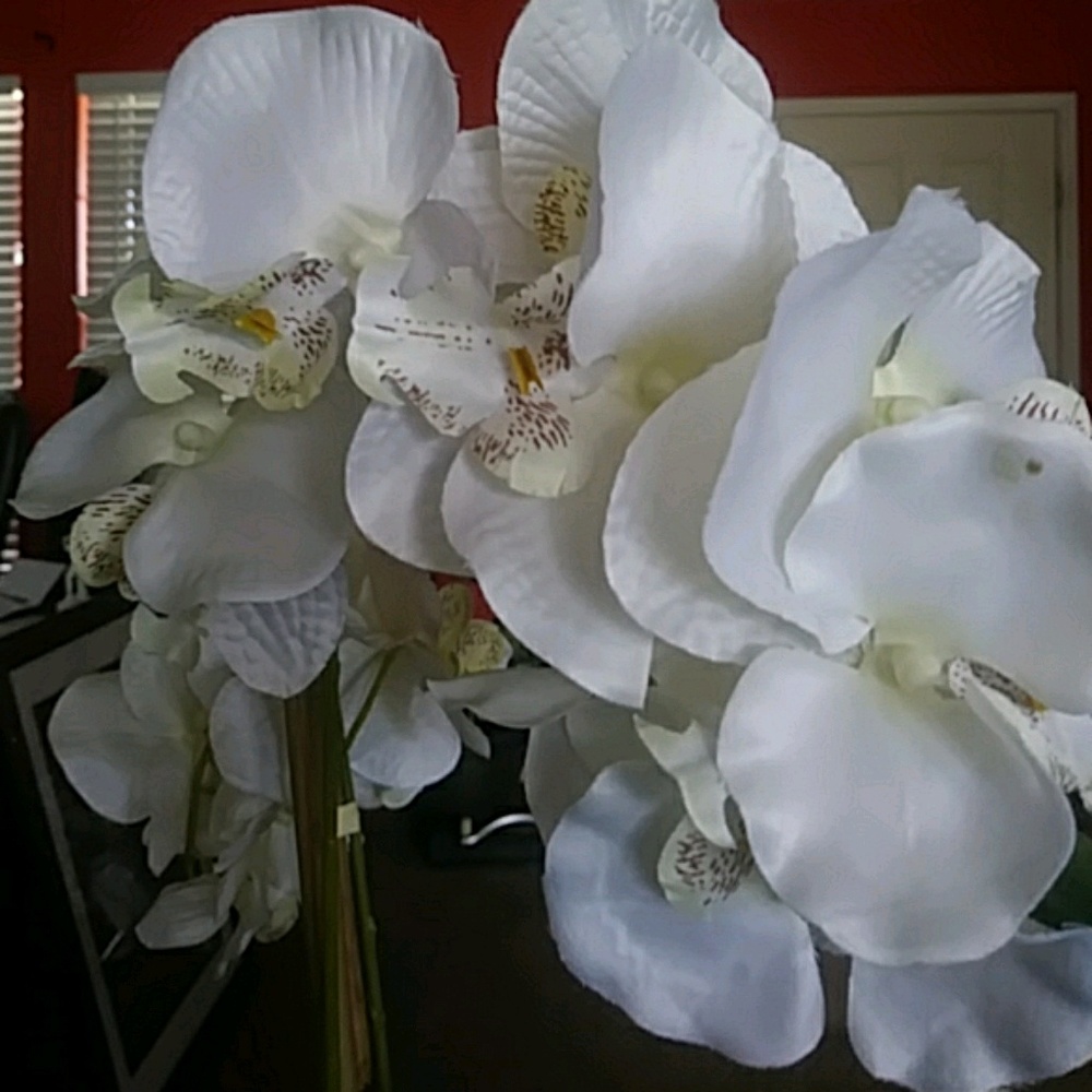 Meet your Posher, Roco